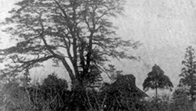 麻生の古道（５）伝承鎌倉道〜片平