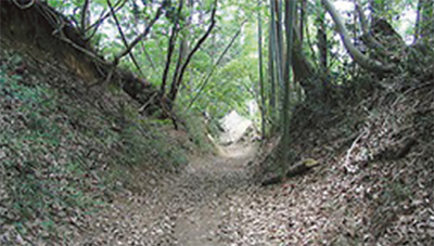 麻生の古道（７）〜歴史の証人〜