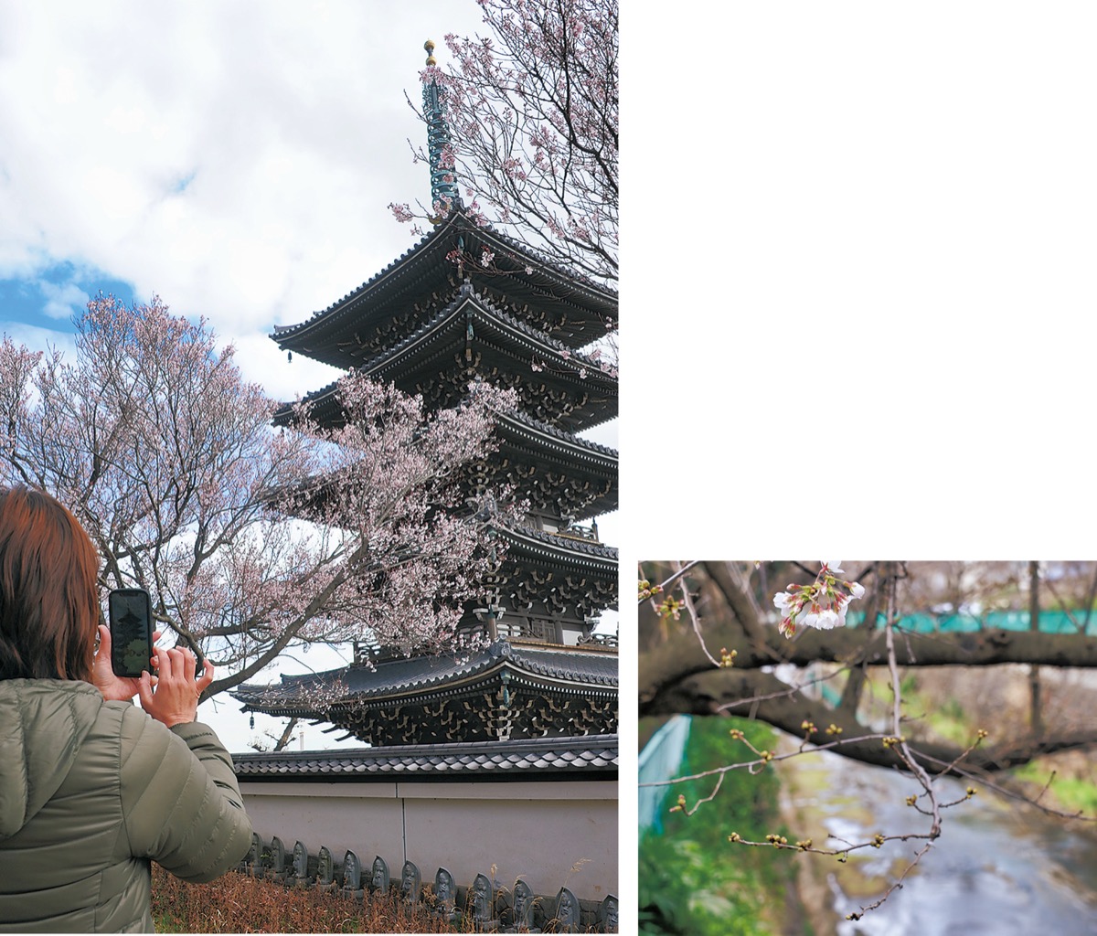 カメラ片手にお出かけを