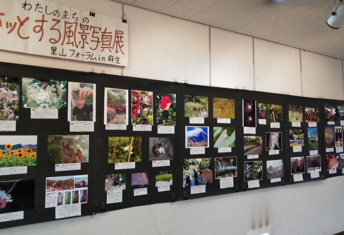 壁一面に展示