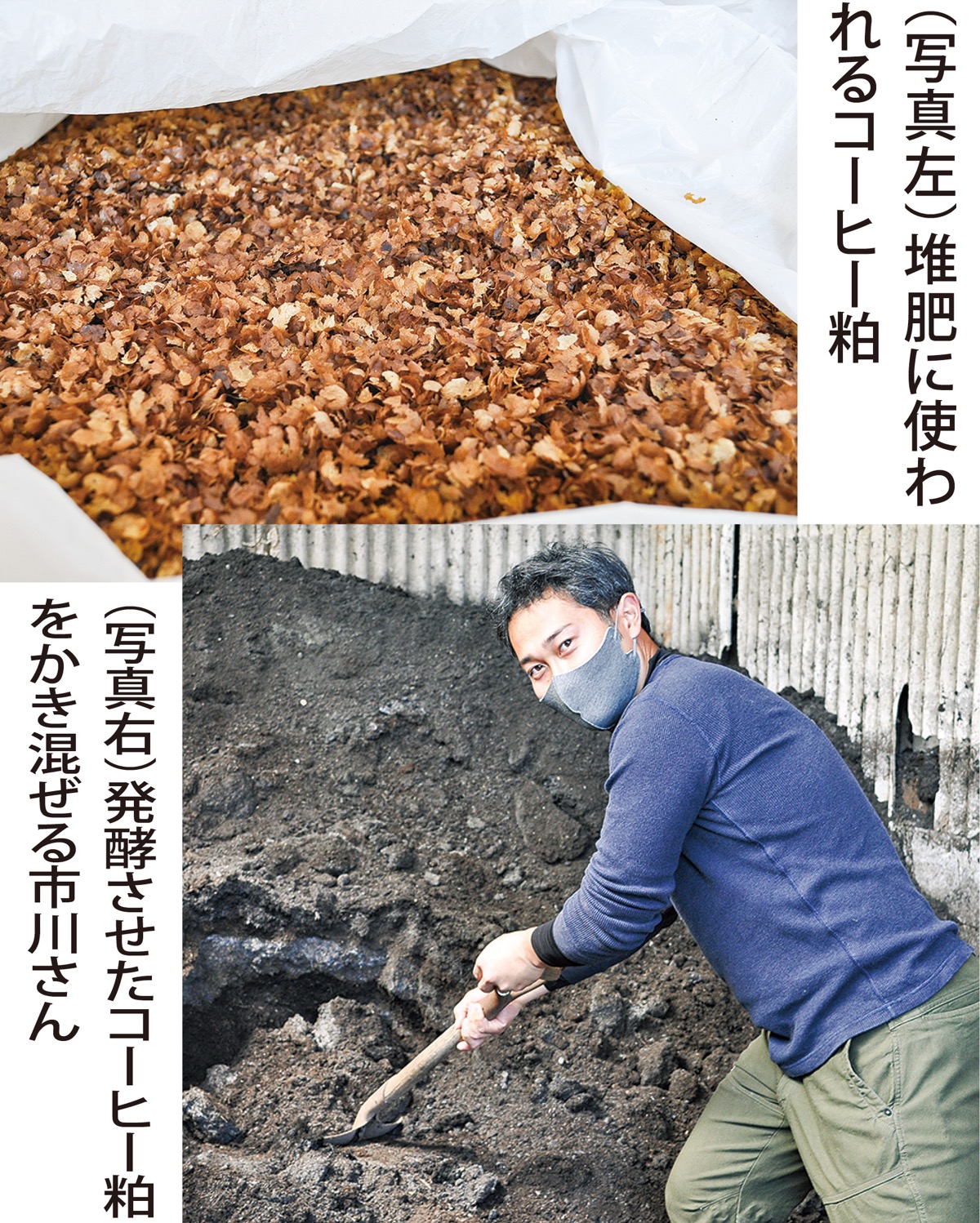 堆肥 コーヒー かす コーヒーかすをそのまま土に混ぜちゃダメ！自宅でできる良質な肥料のつくり方