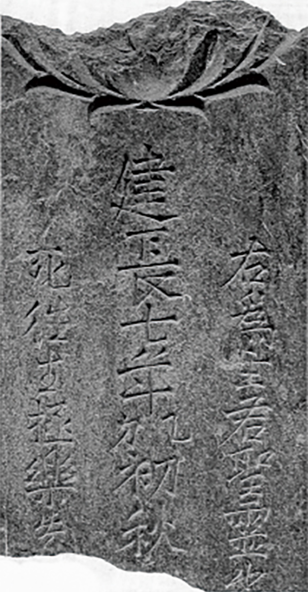 柿生文化を読む