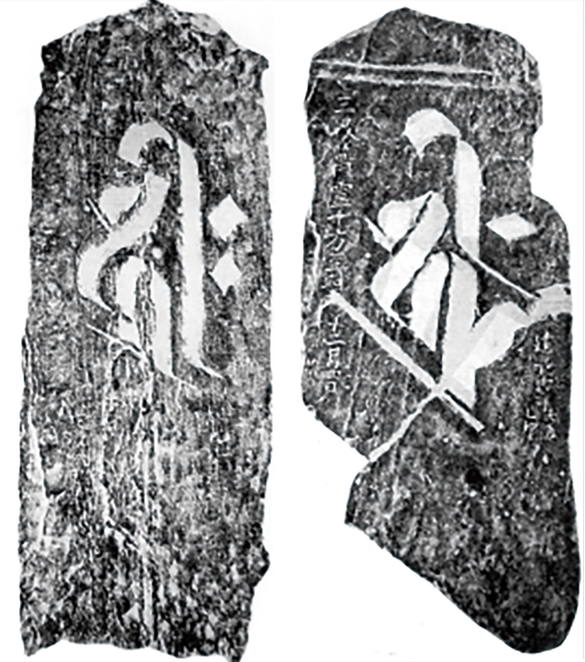 柿生文化を読む