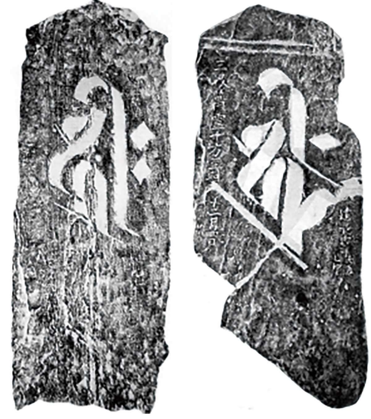 柿生文化を読む