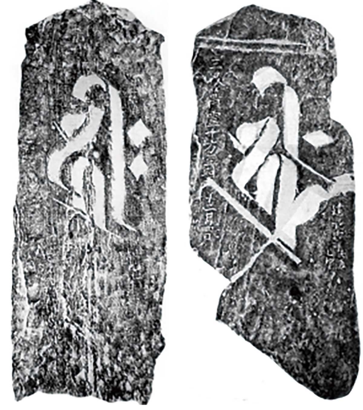 柿生文化を読む