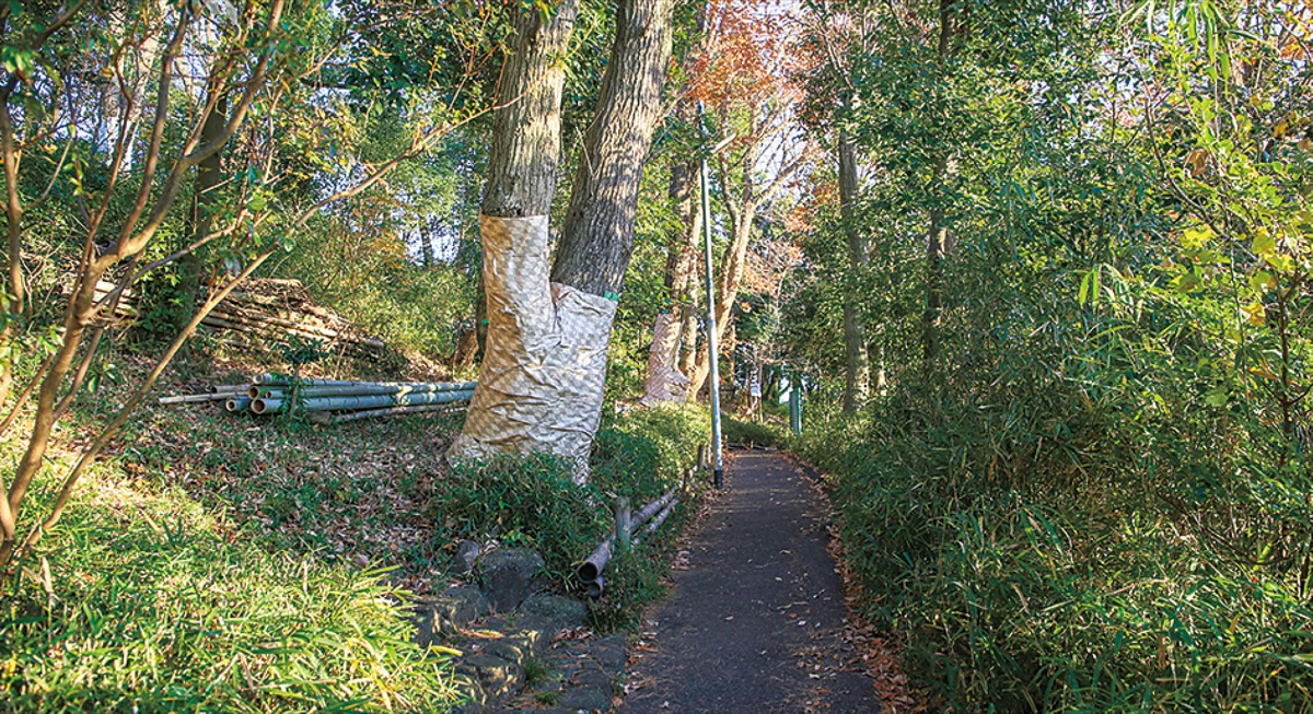 通学路として歩いていたおっ越し山の道