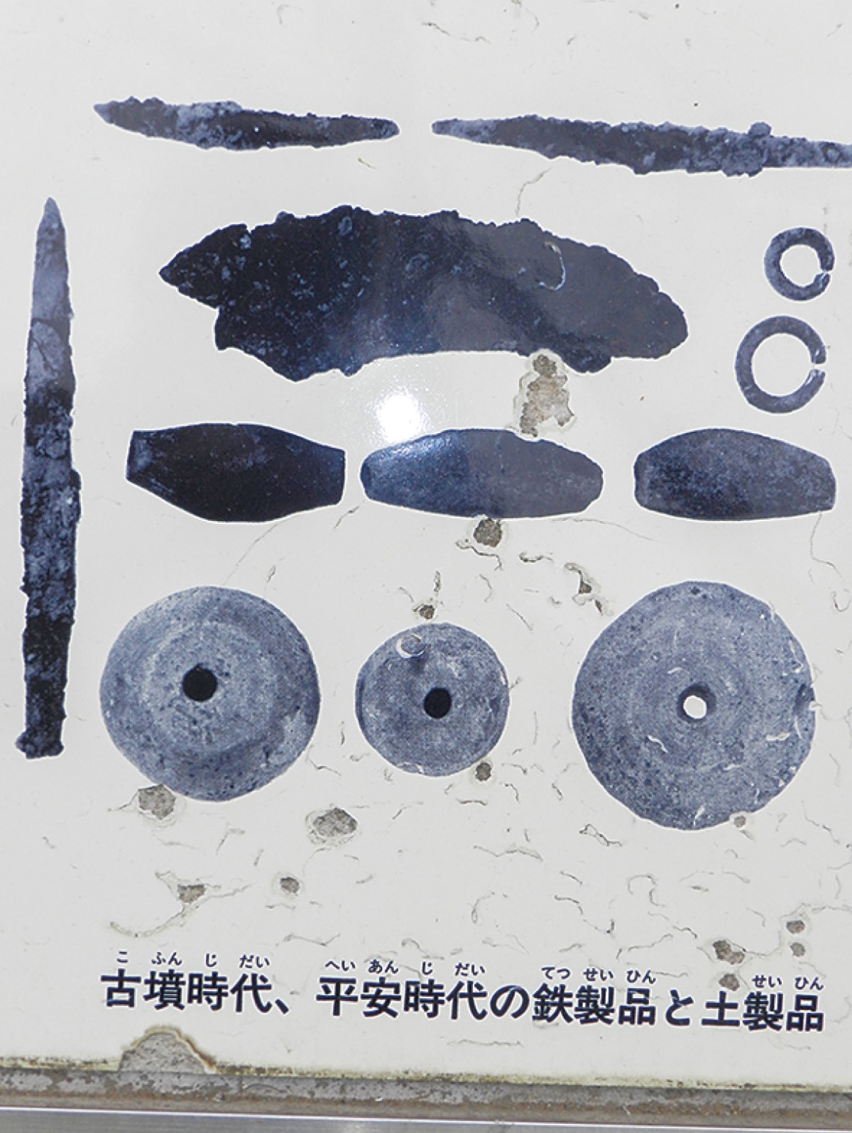 麻生区の太古の人たち