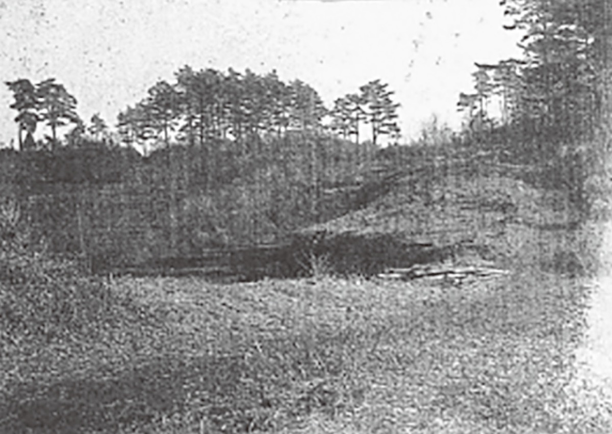 柿生文化を読む