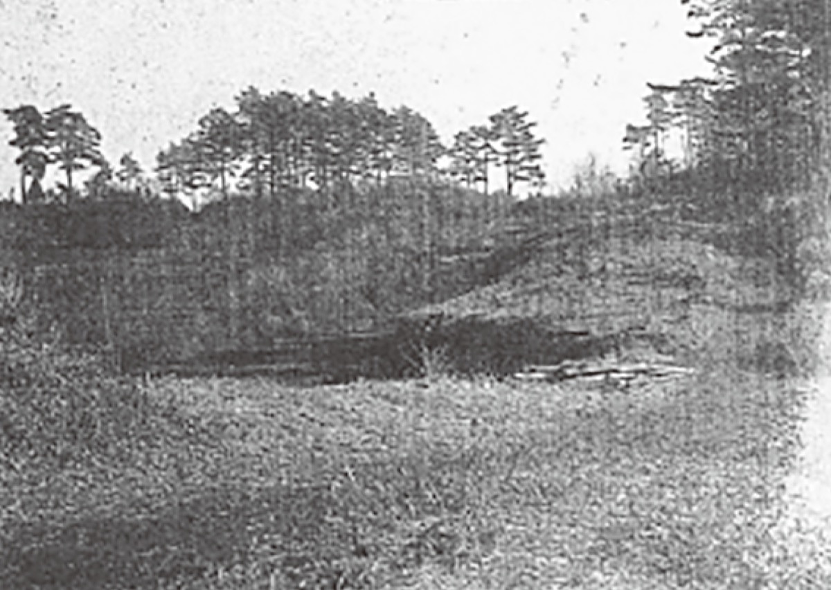 柿生文化を読む