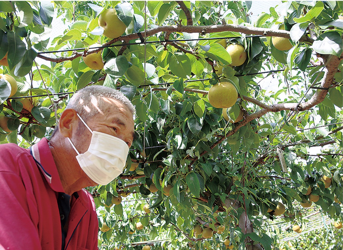 自身の梨園で語る金子さん