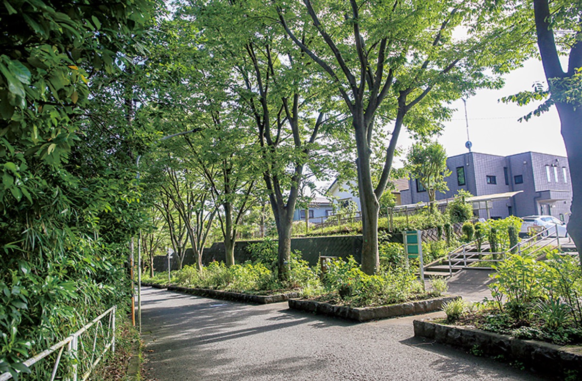 活動エリアの緑道