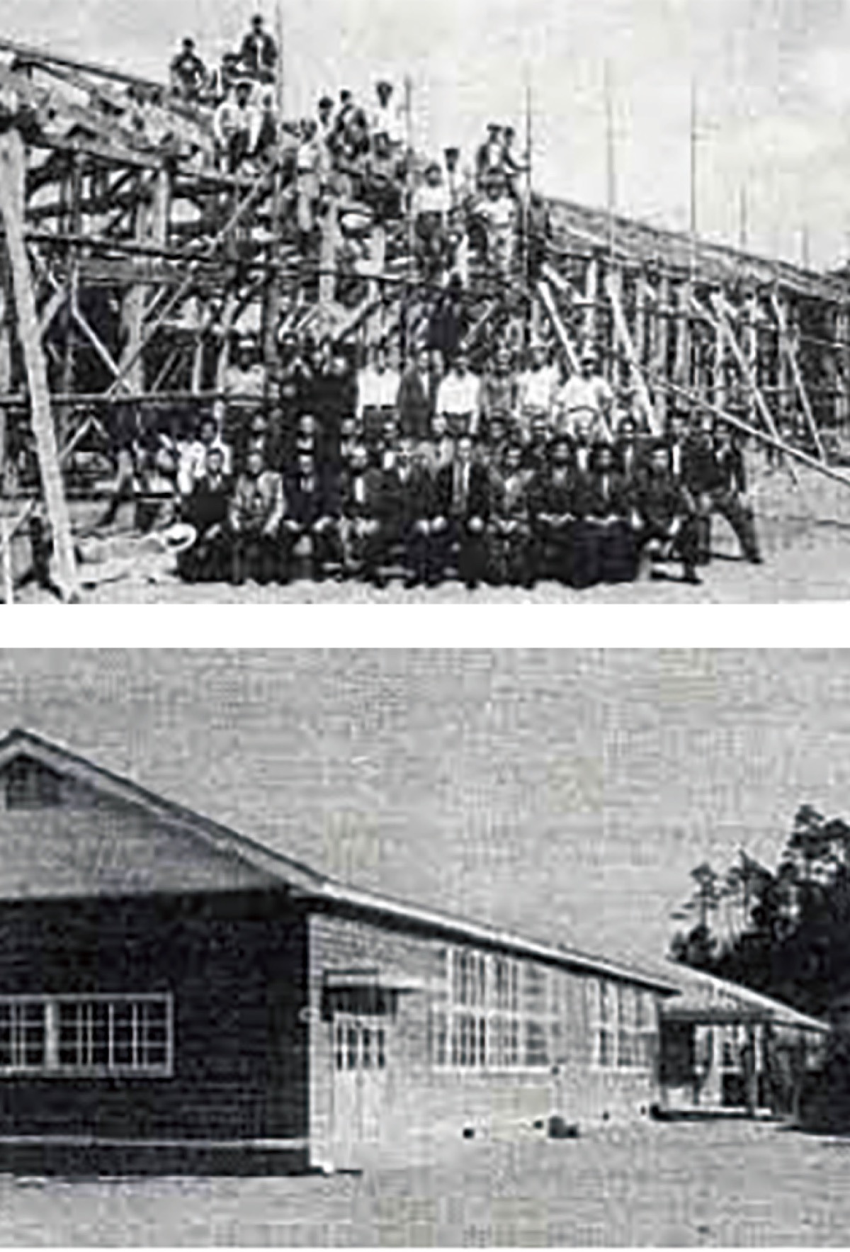 柿生文化を読む