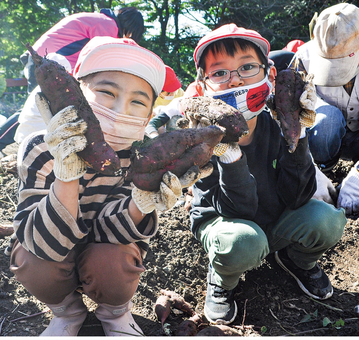 大きな芋を手にする児童たち
