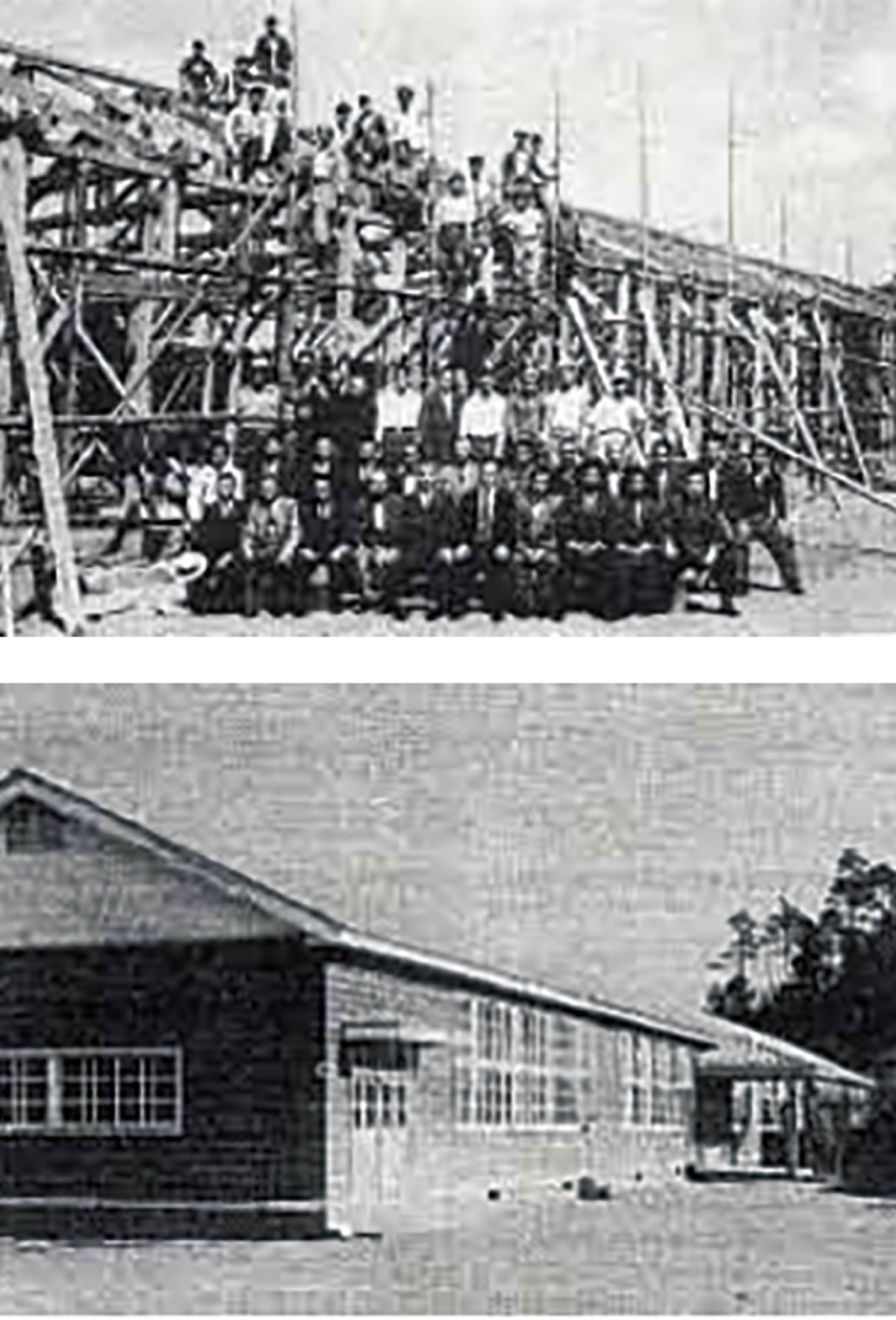 柿生文化を読む