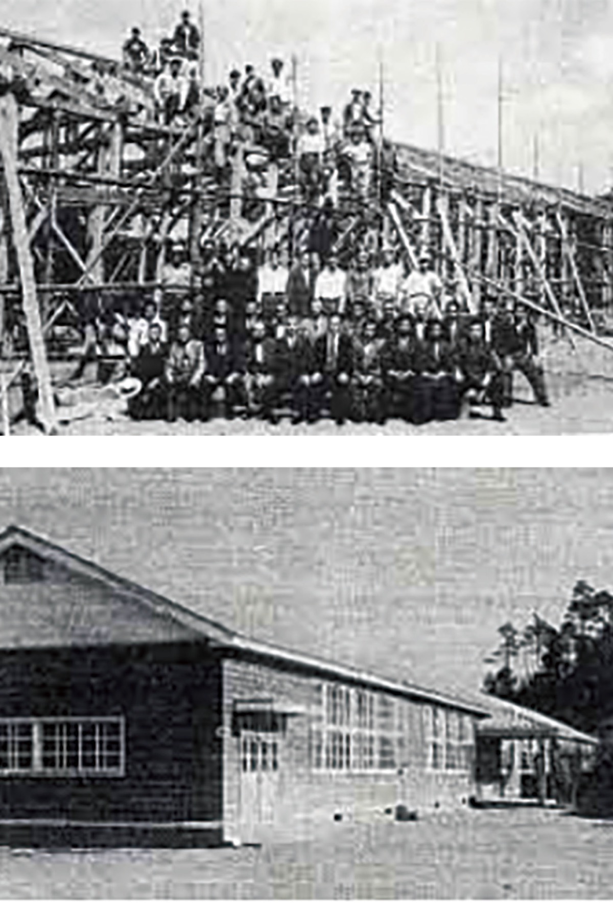 柿生文化を読む