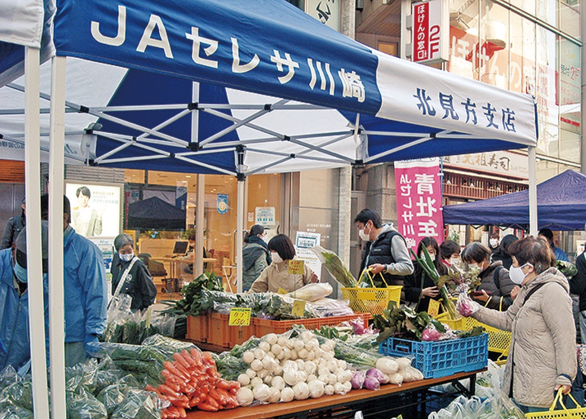 新鮮野菜が手に入る青空市