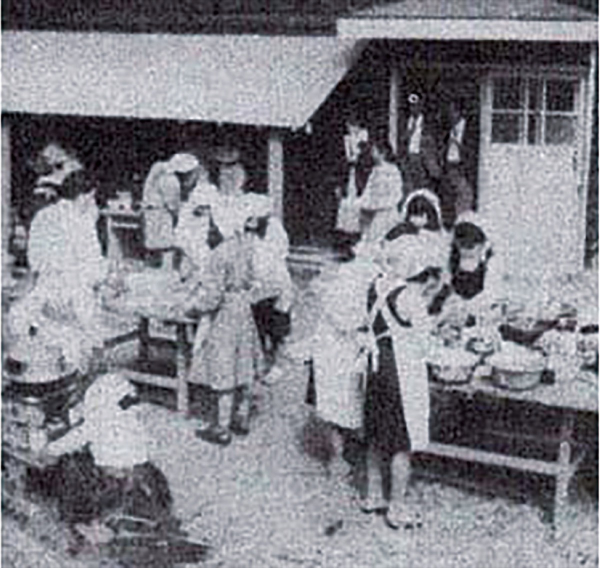 柿生文化を読む