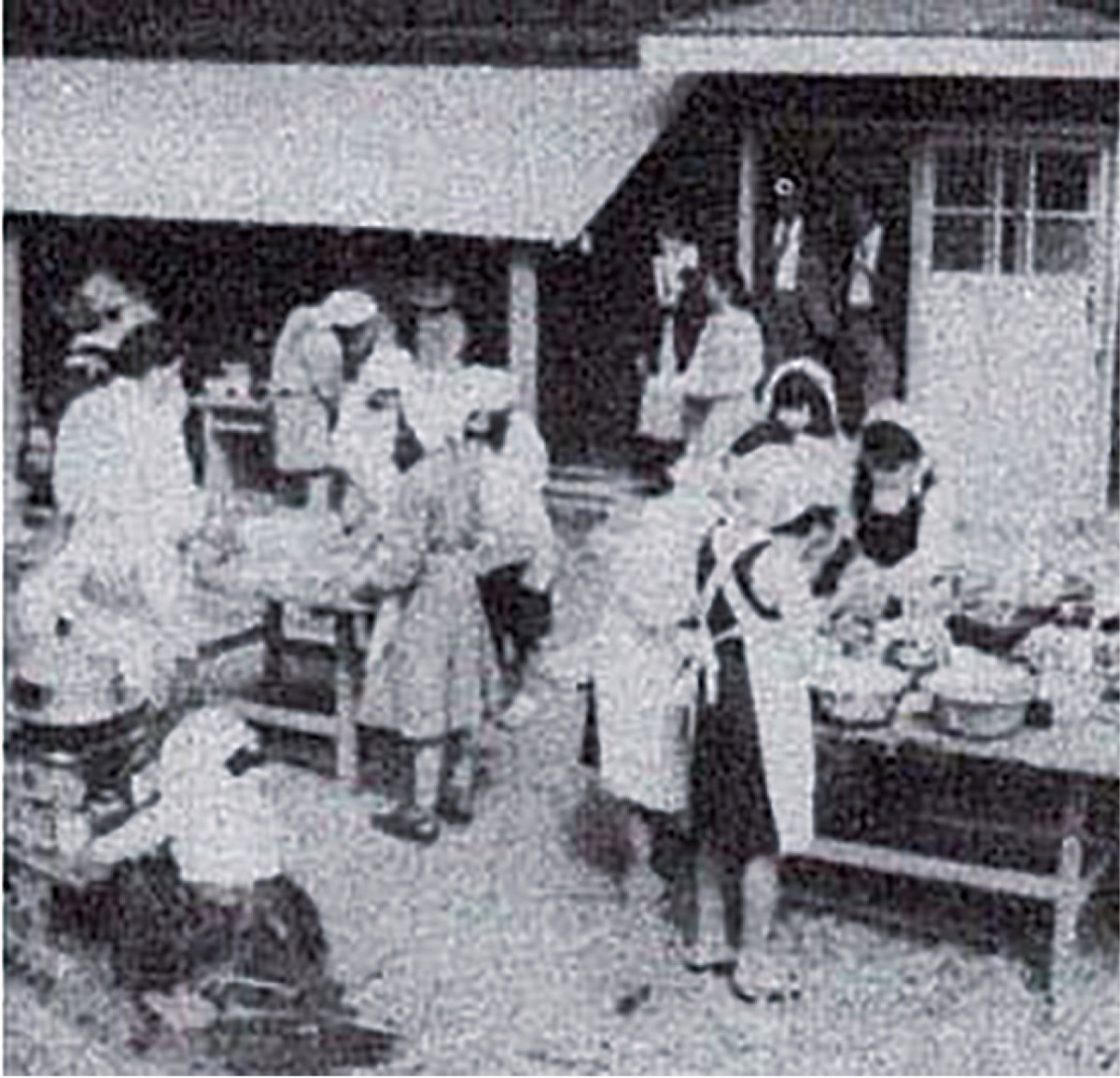 柿生文化を読む