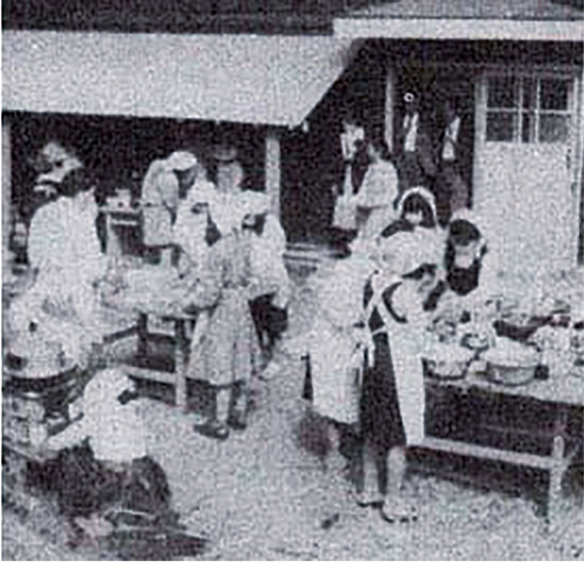 柿生文化を読む