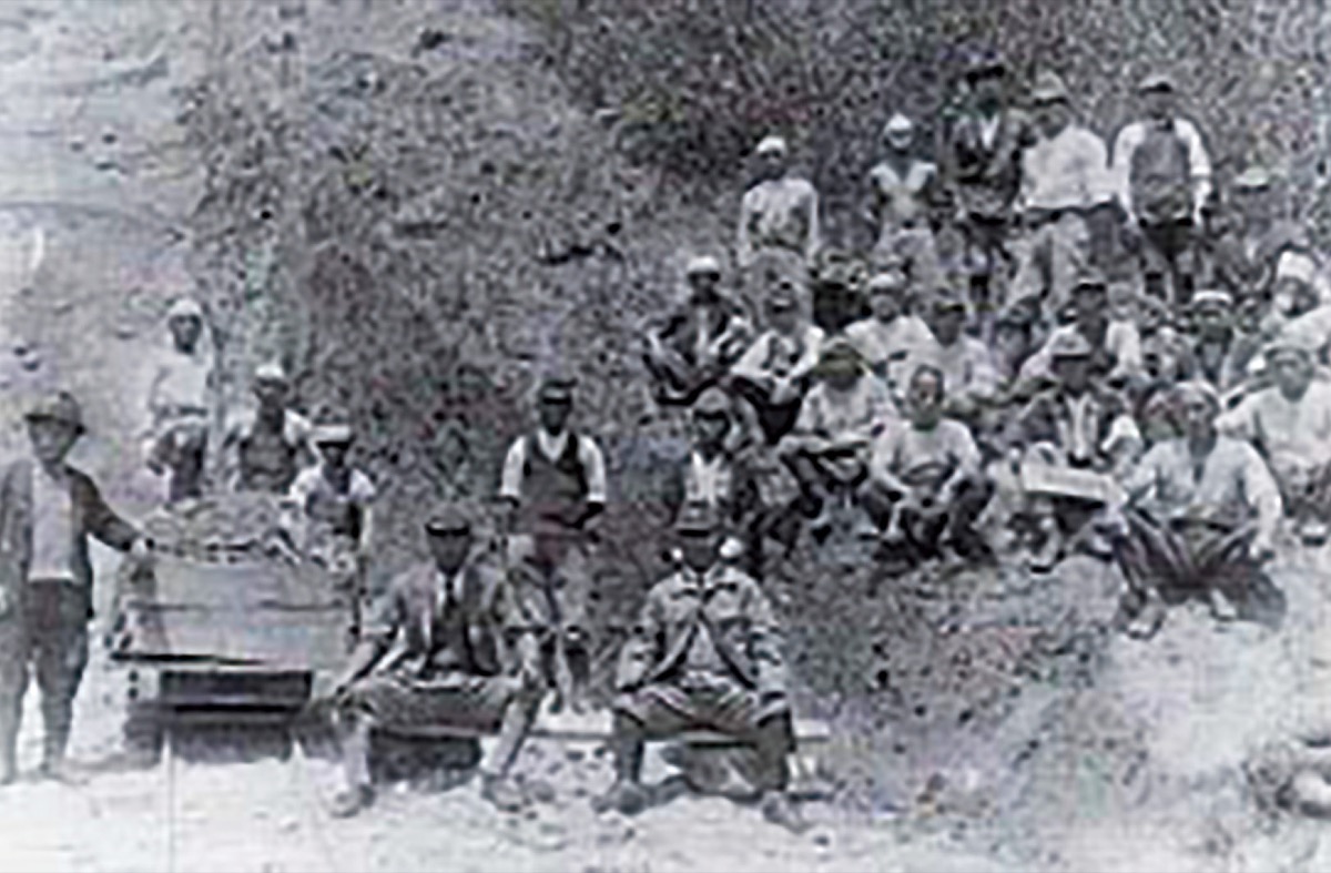 柿生文化を読む