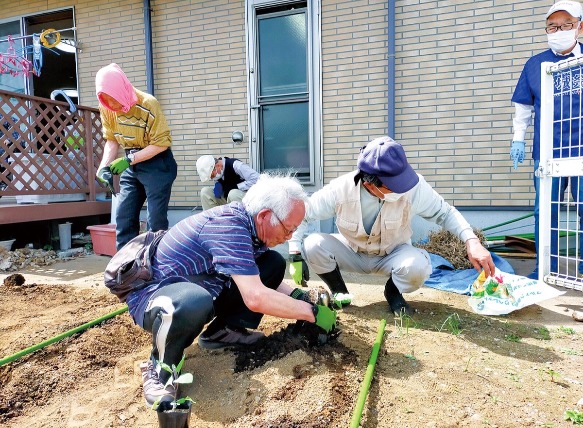 苗植えを体験する参加者