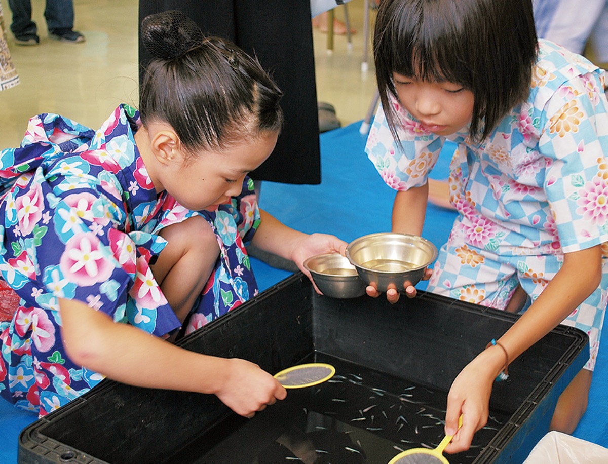 ｢メダカすくいで思い出を｣