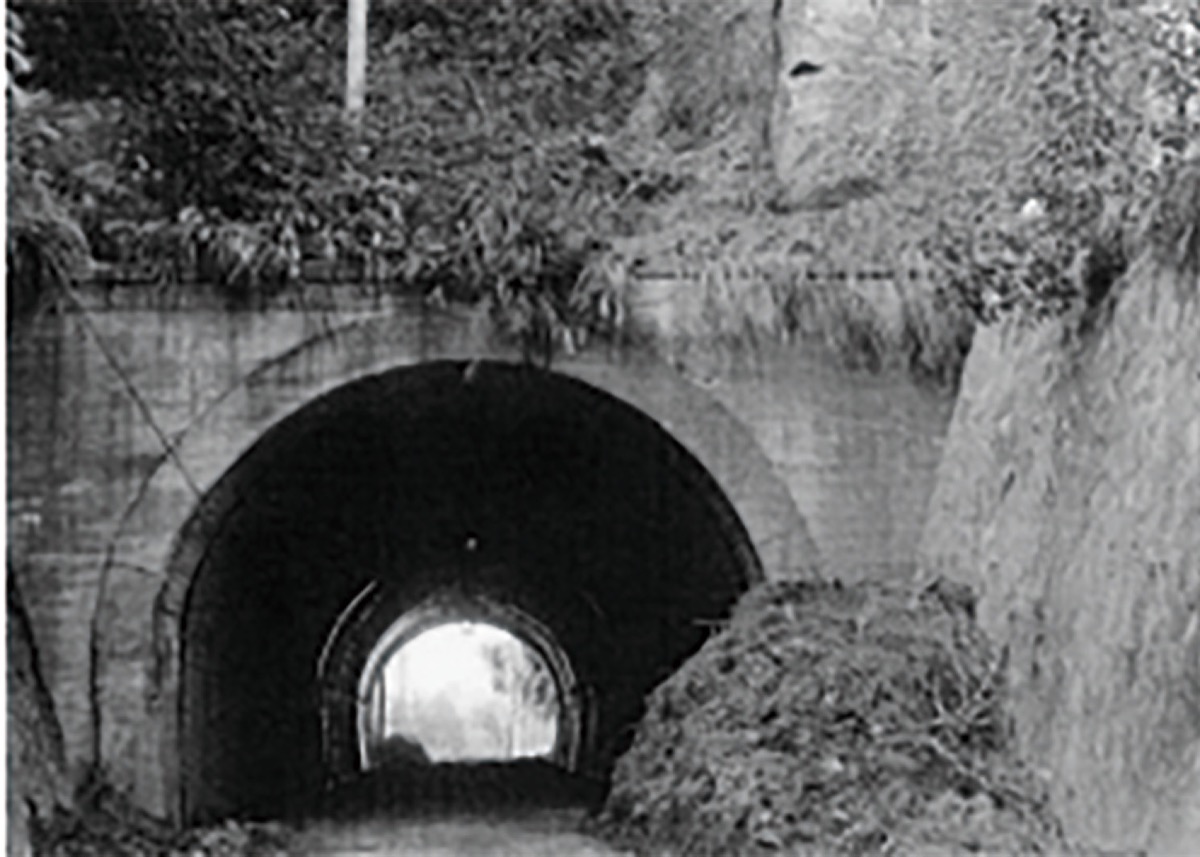 柿生文化を読む