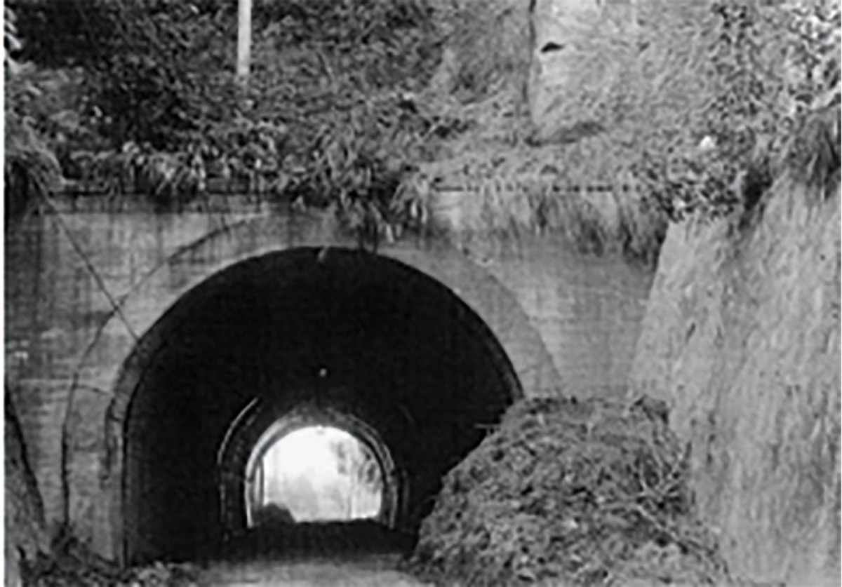 柿生文化を読む