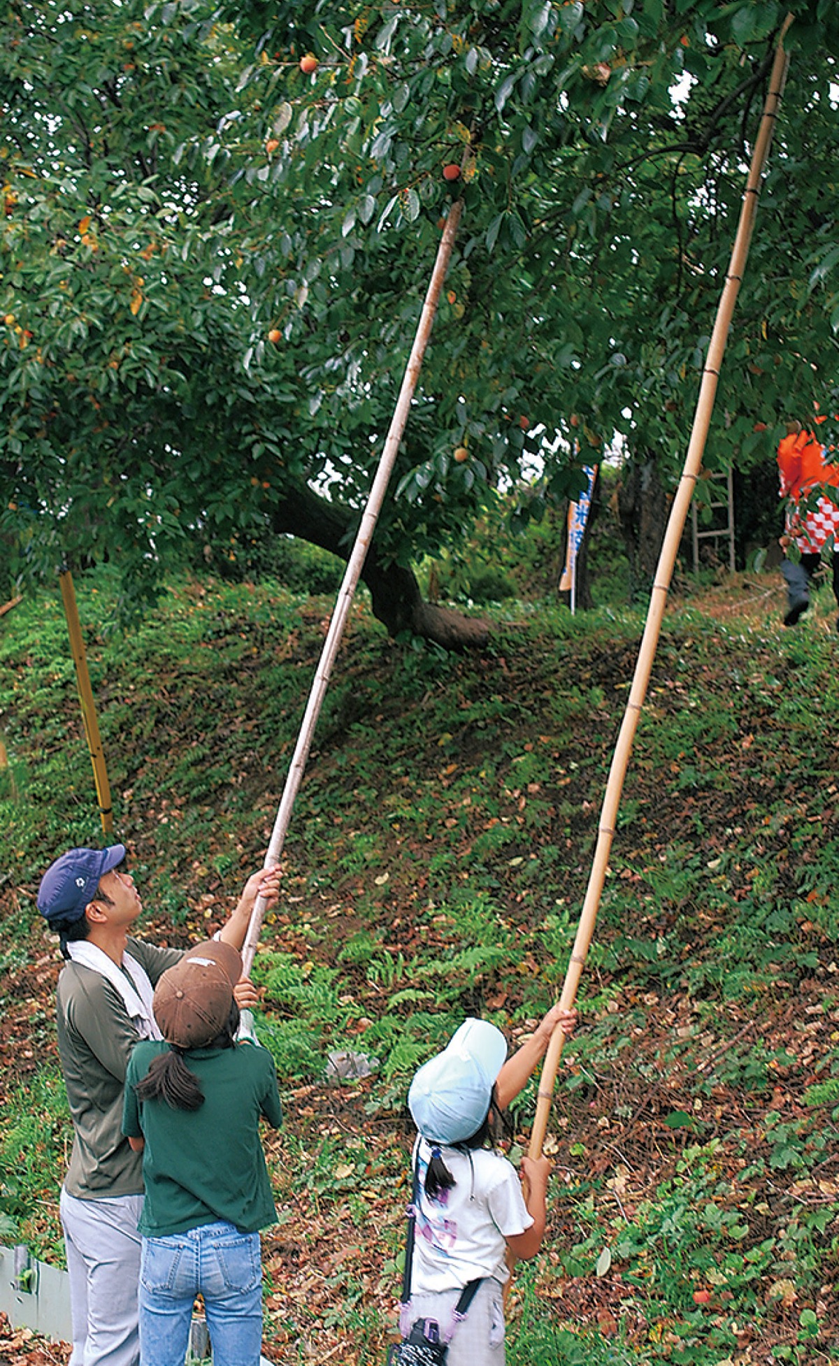 親子で秋の味覚収穫