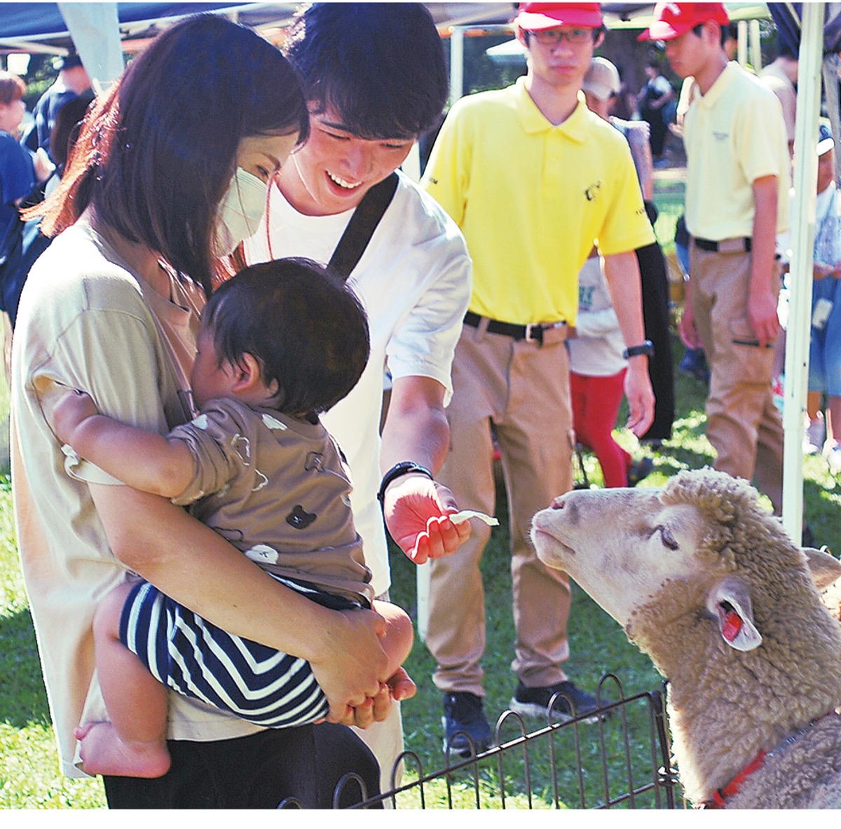 フェスで公園の魅力発信