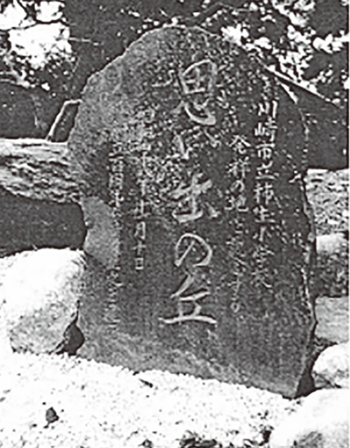 柿生文化を読む