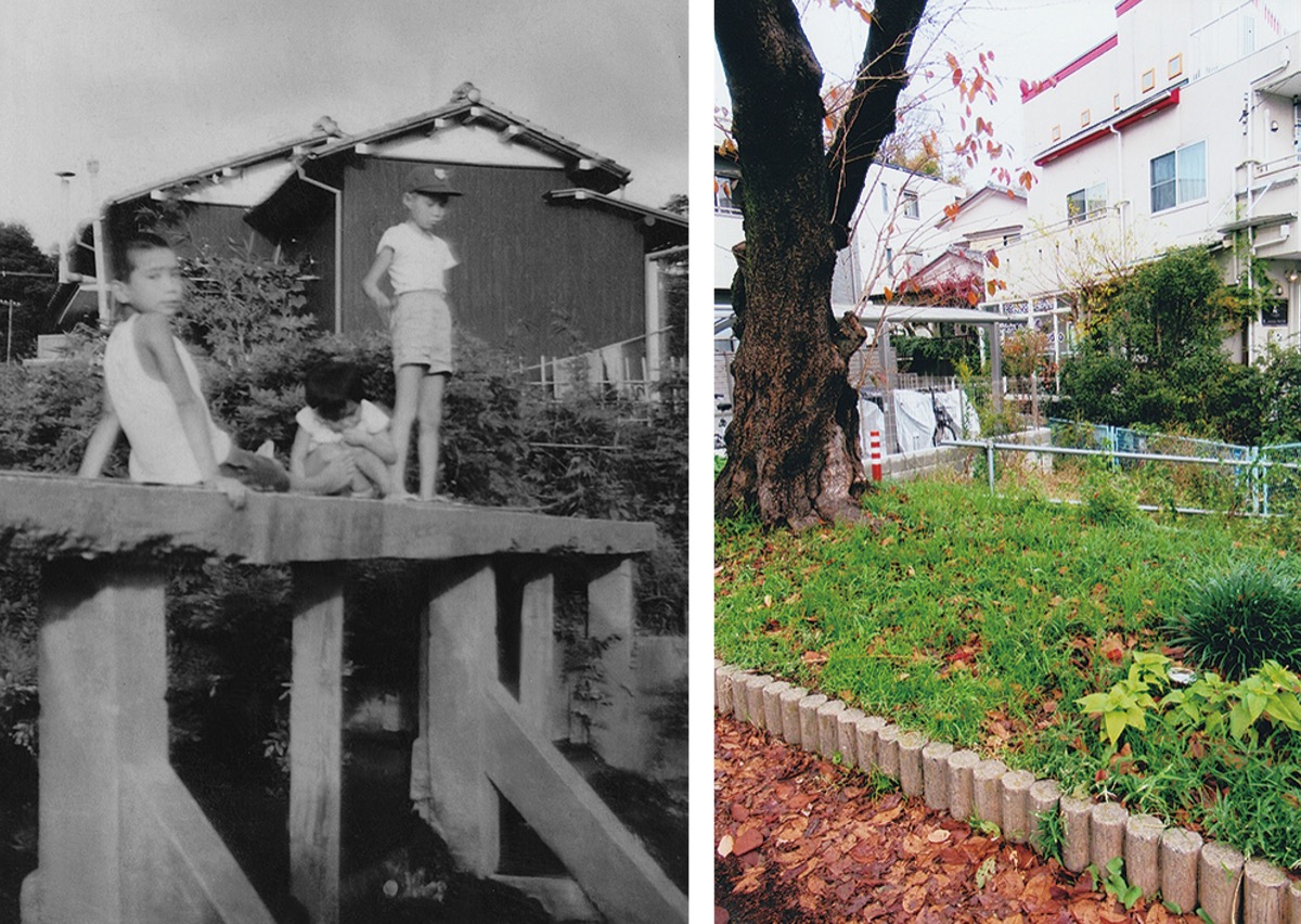 麻生の日常風景を写真に