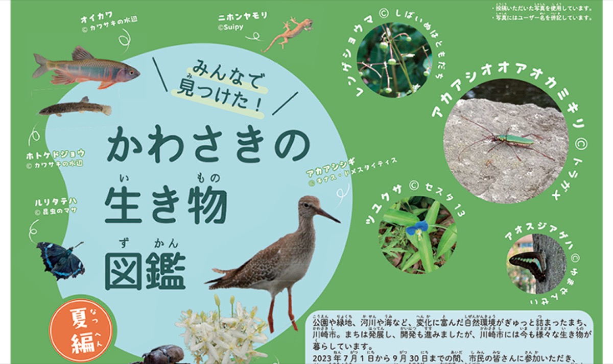 生き物図鑑が完成