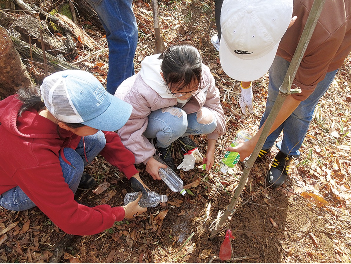 早野で卒業記念植樹