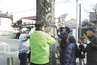 川崎西部まちづくりクラブによる樹木プレート設置の様子