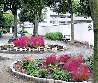 花と緑が豊かな京町第３公園で開催される