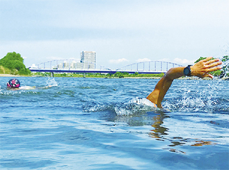 多摩川で泳ぐイメージ