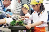 エコ活動、園児と苗植