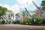 思い出のこい大空泳ぐ