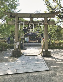 茅の輪を設置した稲毛神社の鳥居