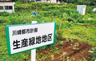 市民農園として活用される生産緑地