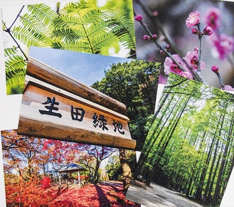多様な景色を写したポストカード