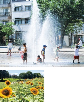 水遊びを楽しむ園児ら（上）、咲き誇るヒマワリ＝７月15日撮影