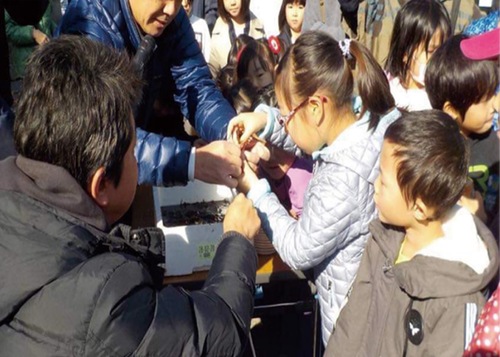 種付けを行う子どもたち