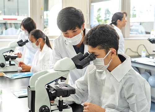 顕微鏡をのぞく子どもたち＝前回