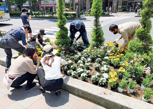 市役所前の花壇をお手入れする様子