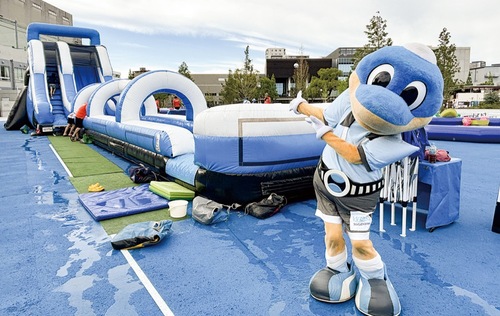 スライダーを紹介するふろん太