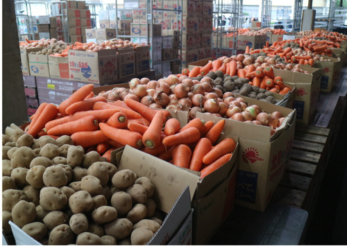 詰め放題に並んだ野菜