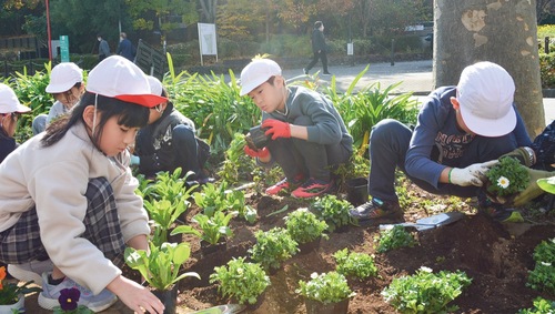 花植えに取り組む下平間小学校の２年生ら