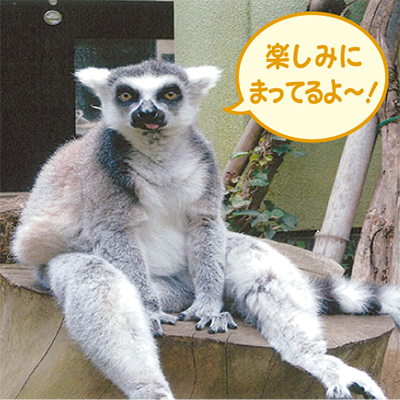 ローカルニュース 川崎区 幸区 タウンニュース 神奈川県全域 東京多摩地域の地域情報紙